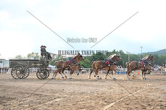 AJB_0549