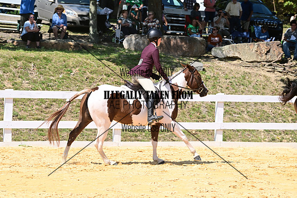 AJB_0832