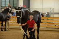 Jr. Youth Showmanship-14