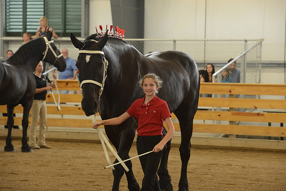 Jr. Youth Showmanship-14