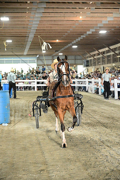 AJB_0126