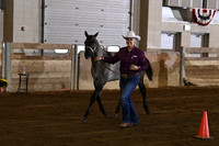 4. ABRA Weanling Stallions