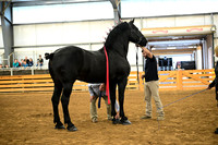 AJB_6149