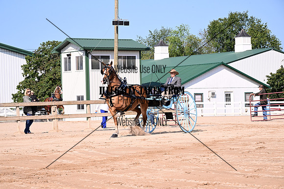 AJB_4529