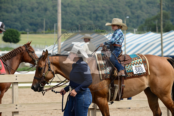 AJB_4363