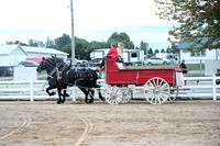 AJB_0856