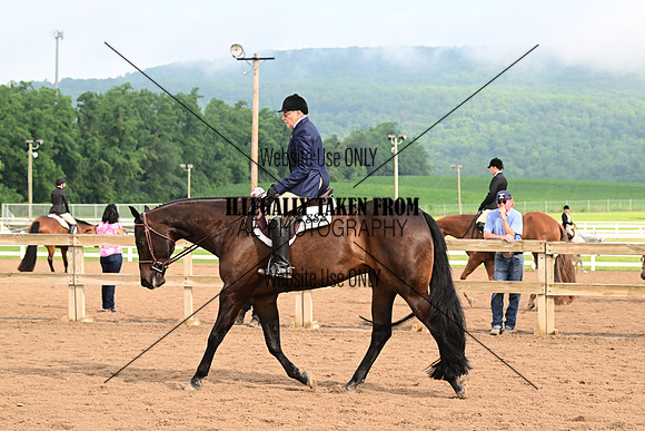 AJB_6333