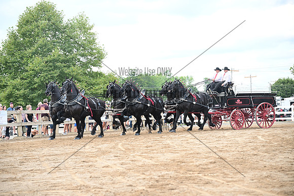 AJB_0565