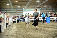 AJB_0082