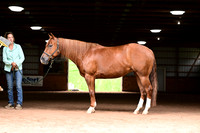 AJB_3627