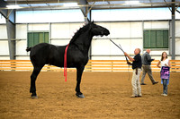 AJB_6183