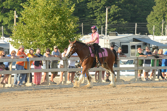 Open Riding_wtc-11