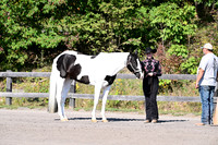 AJB_2075