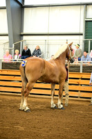 AJB_5958